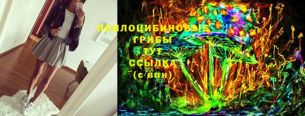 соль ск Богданович