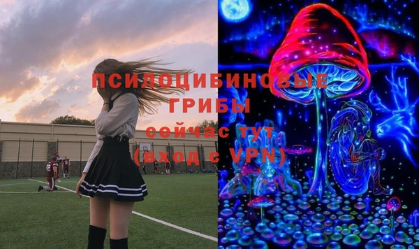 марихуана Богородицк