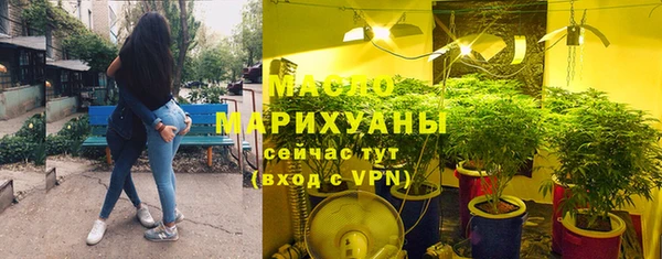 соль ск Богданович