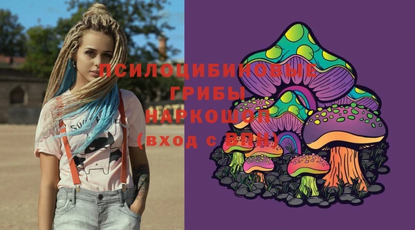 spice Бронницы