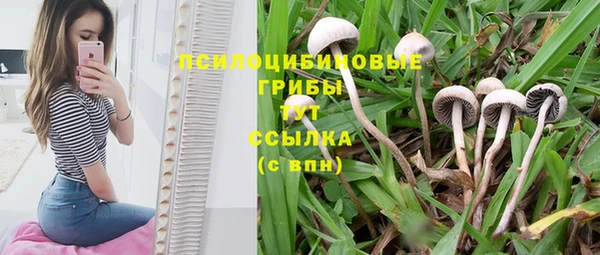 мяу мяу кристалл Бугульма