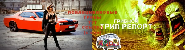 spice Бронницы