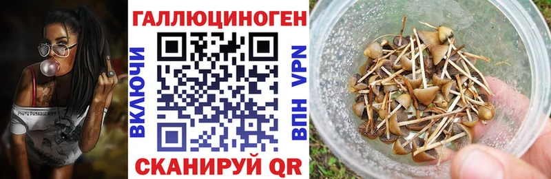 гидра маркетплейс  Бузулук  Псилоцибиновые грибы ЛСД  купить  